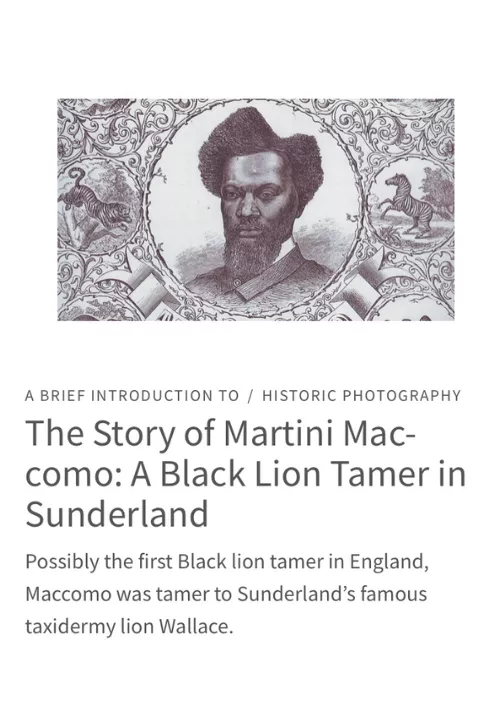 Historic England blog Sunderland Black Lion Tamer Martini Maccomo